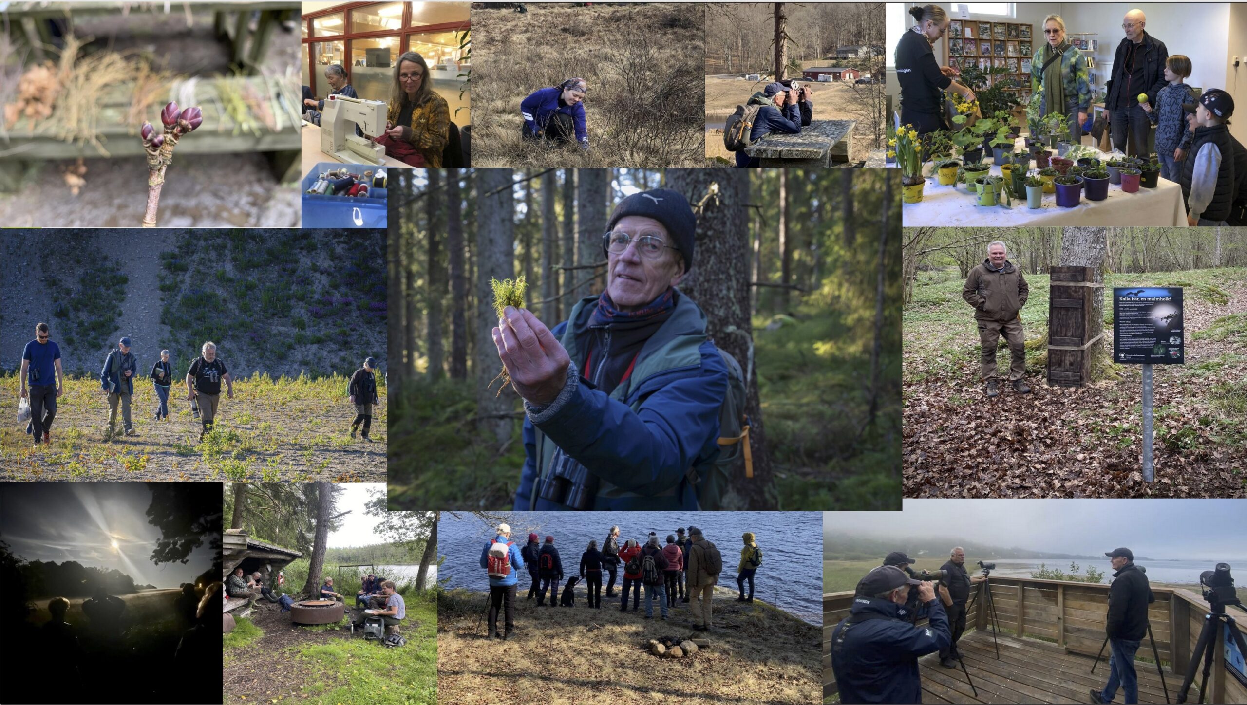 Nytt: Verksamhetsplan 2026